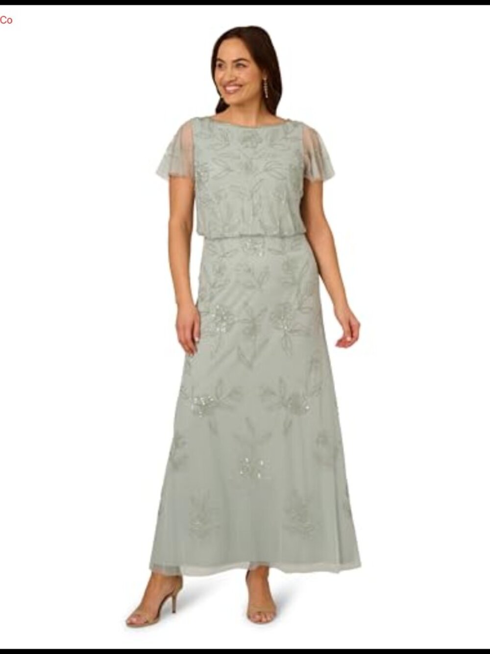 Beaded Blouson A-Line Long Formal Gown Flutter Sleeve